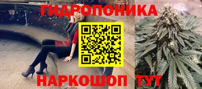 ешки Тверь