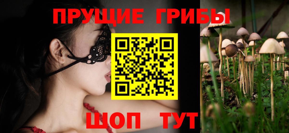 хочу   Псилоцибиновые грибы GOLDEN TEACHER  Вход с VPN  Пыть-Ях 